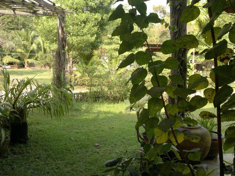 קו צ'אנג The Mangrove Hideaway Kohchang מראה חיצוני תמונה
