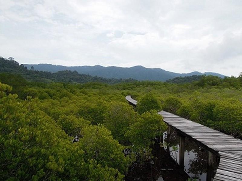 קו צ'אנג The Mangrove Hideaway Kohchang מראה חיצוני תמונה
